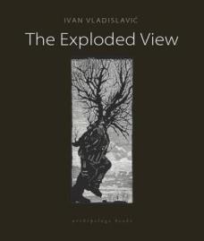 The Exploded View Ivan Vladislavic